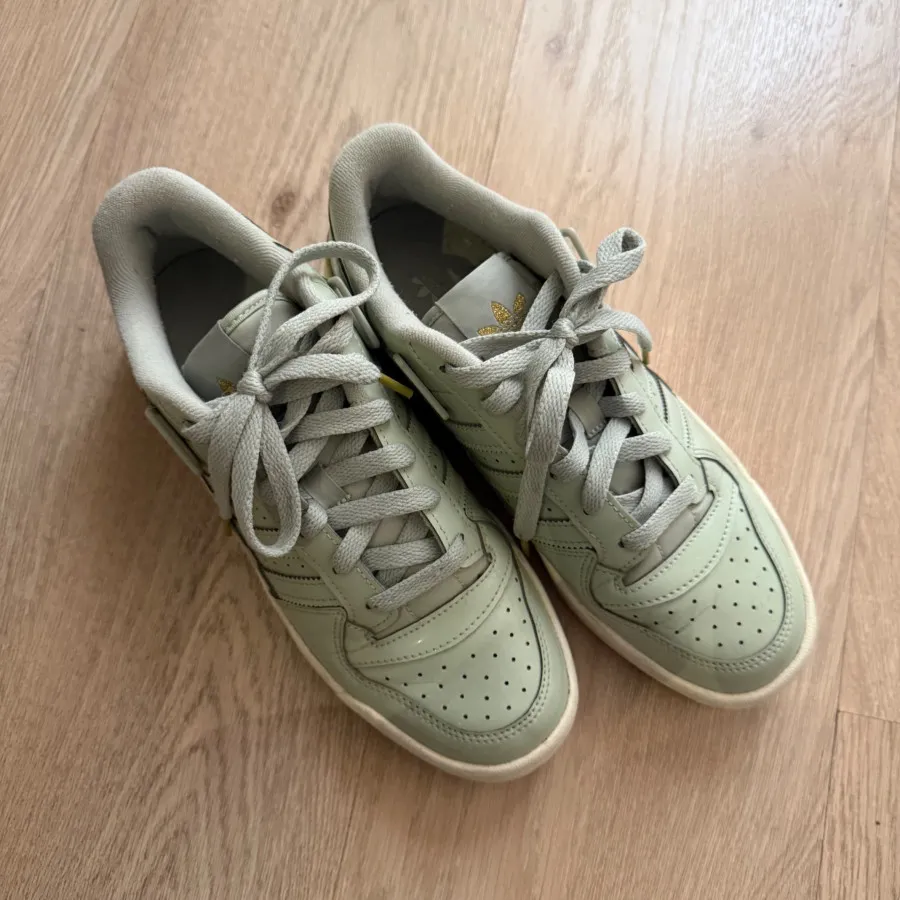 کفش ادیداس سبز