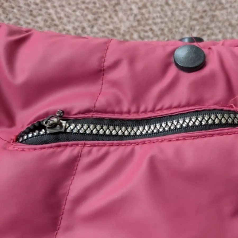 کاپشن سرخابی