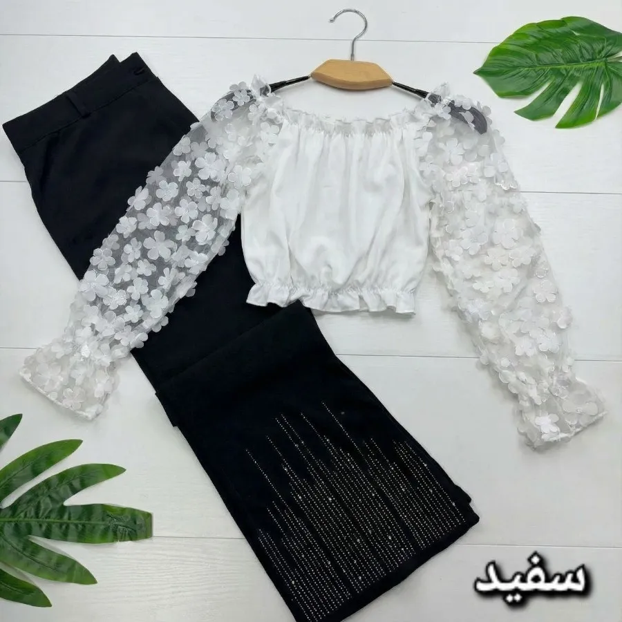 کراپ‌ مجلسی