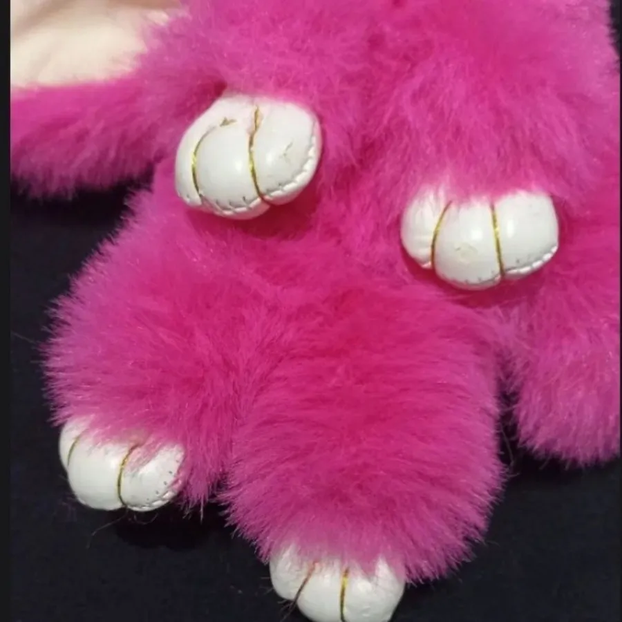 جاسوییچی خرگوشی