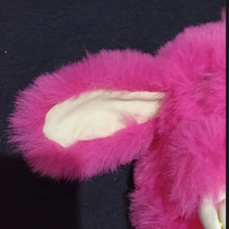 جاسوییچی خرگوشی