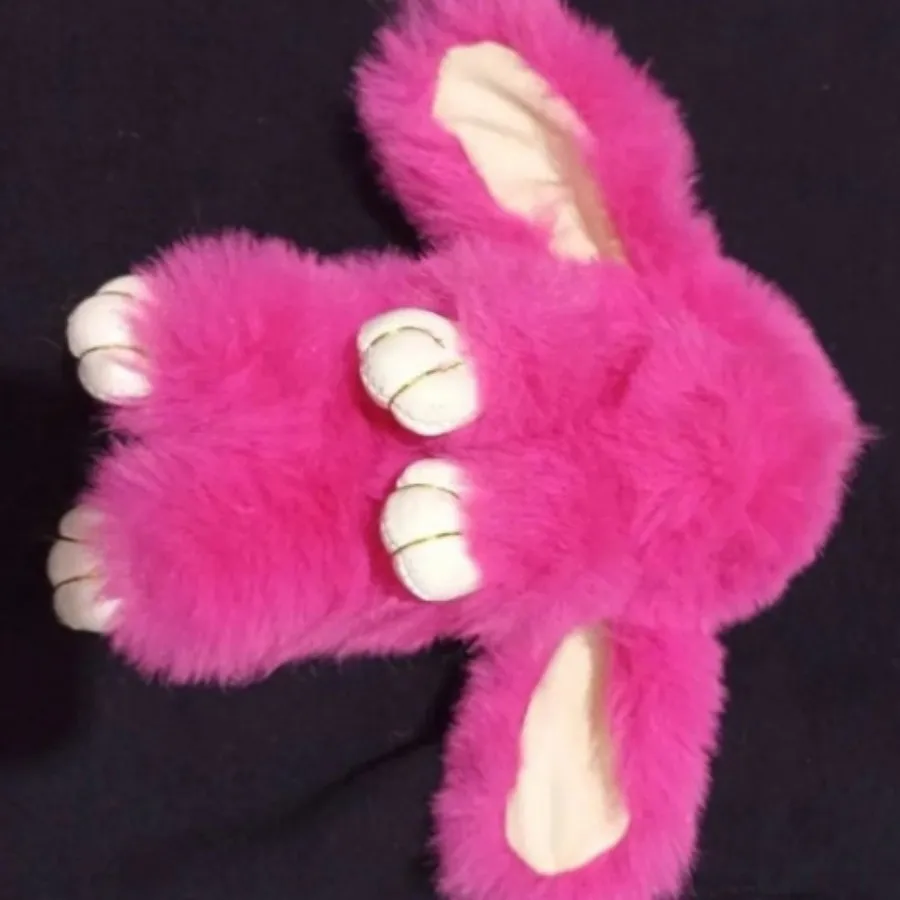 جاسوییچی خرگوشی