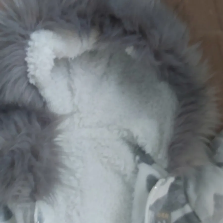 سویشرت شلوار  بچگانه