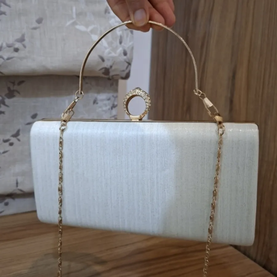 کیف و کفش ست مجلسی