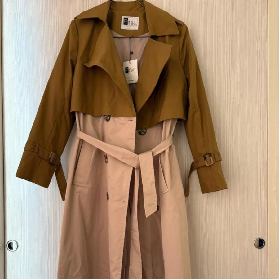 بارونی پیکسی