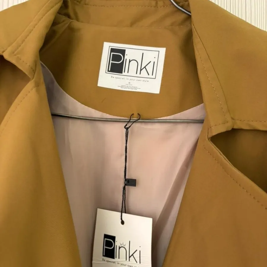 بارونی پیکسی