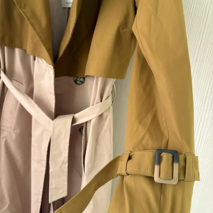 بارونی پیکسی