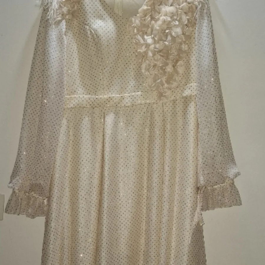 لباس مجلسی نباتی