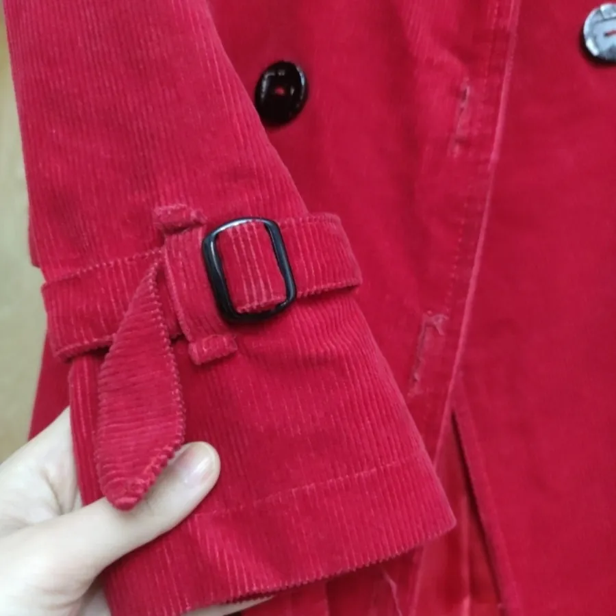 پالاو زمستانه قرمز مجلسی