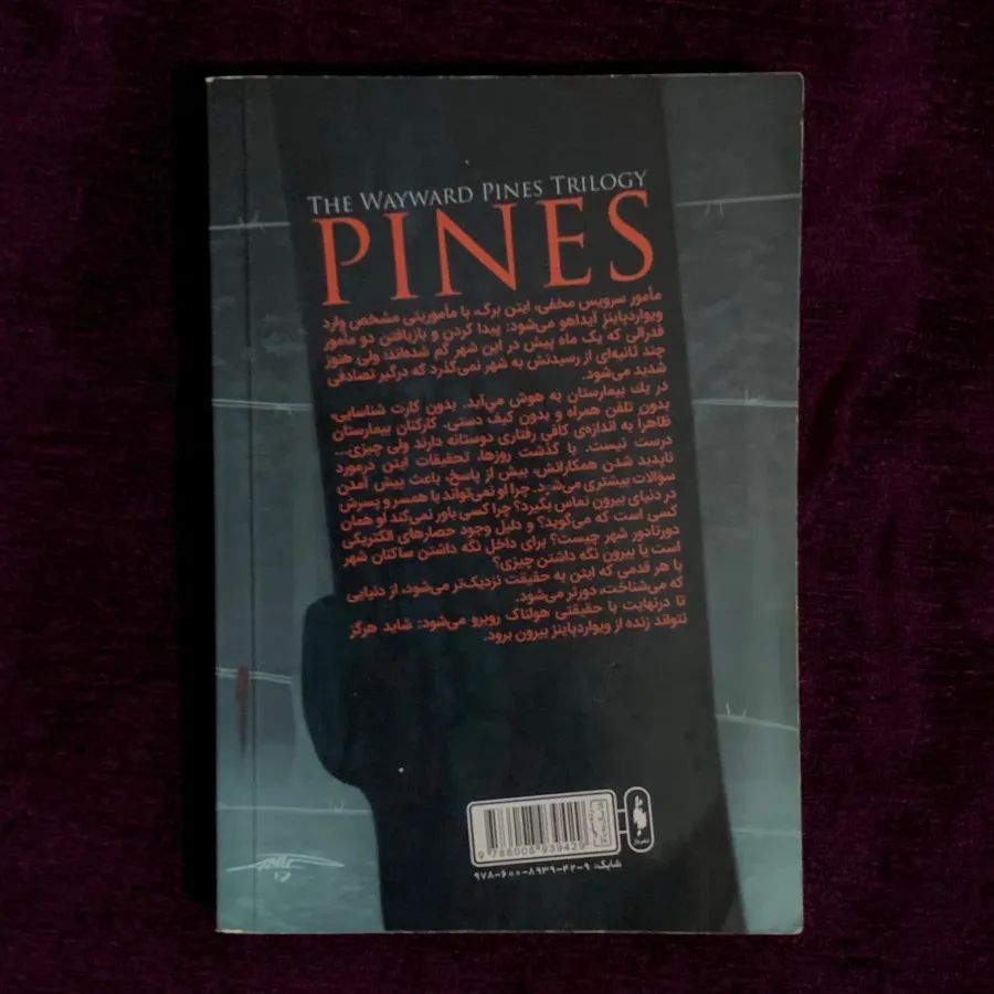 مجموعه کتاب ویوارد پاینز