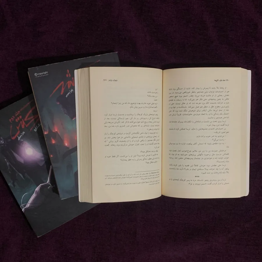 مجموعه کتاب ویوارد پاینز