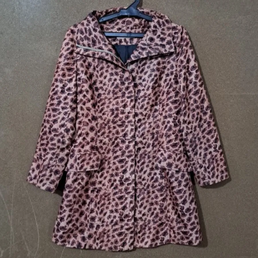 بارونی بارانی