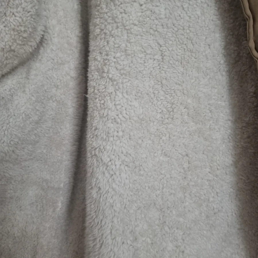 کاپشن داخل تدی