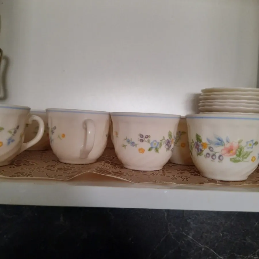 فنجون ویکتوریا فرانسه اصل