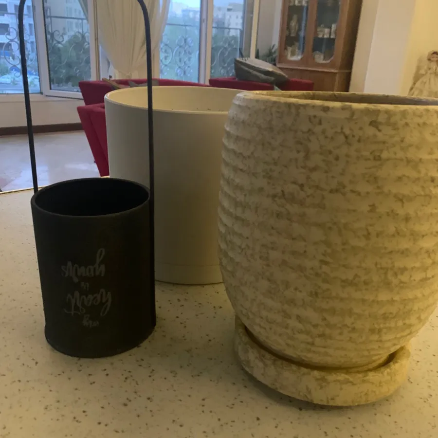 گلدان وزیر گلدان