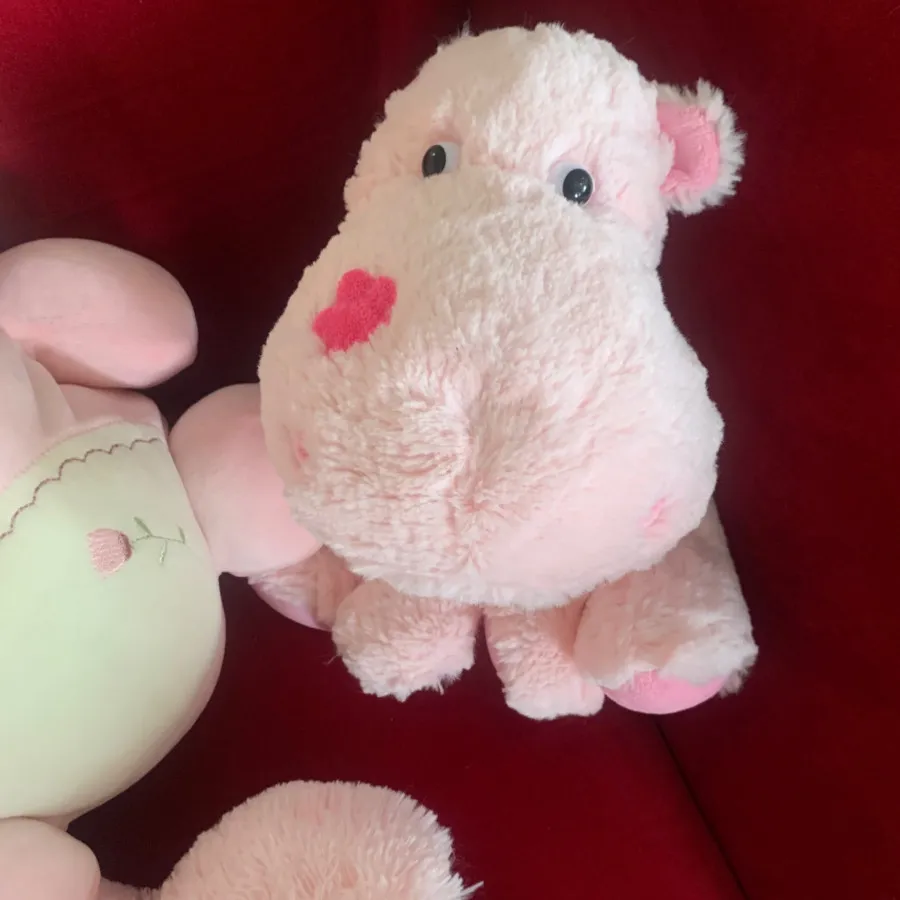 عروسک پولیشی