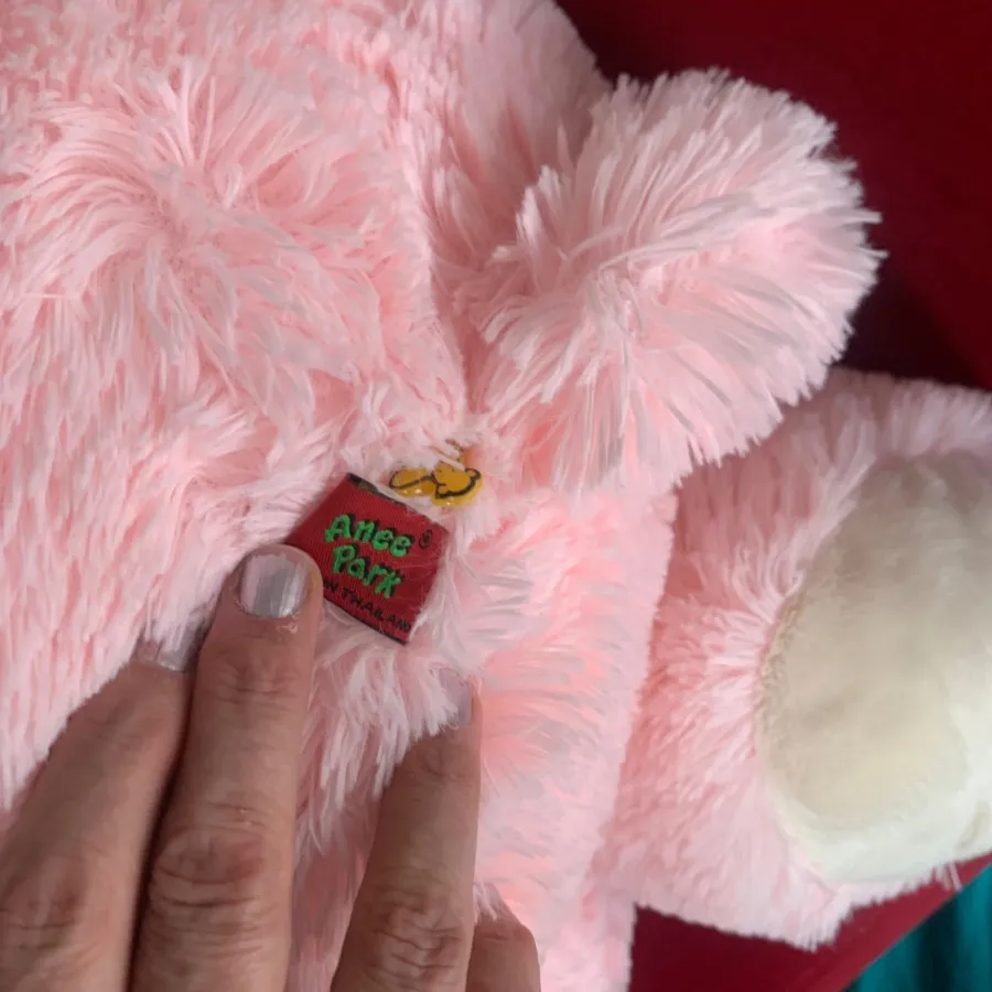 عروسک پولیشی