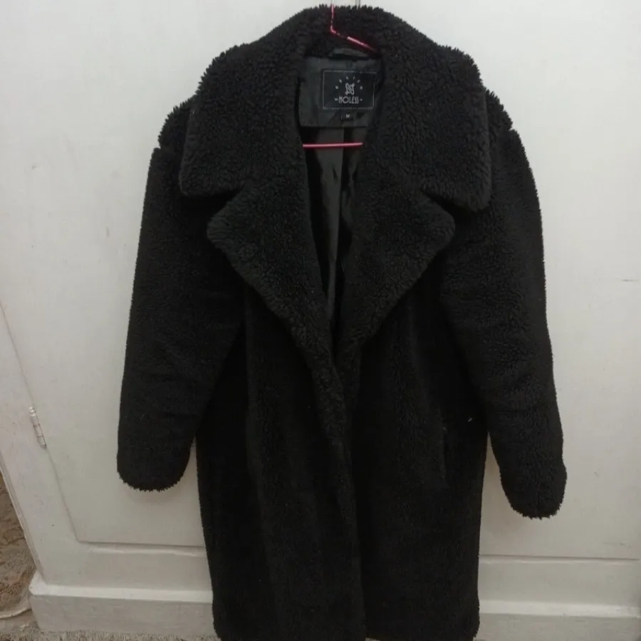 پالتو تدی آمریکایی