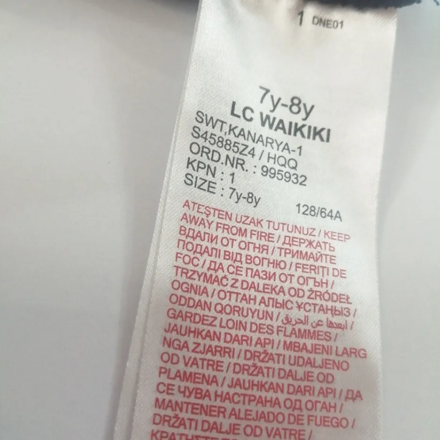 هودی پسرانه