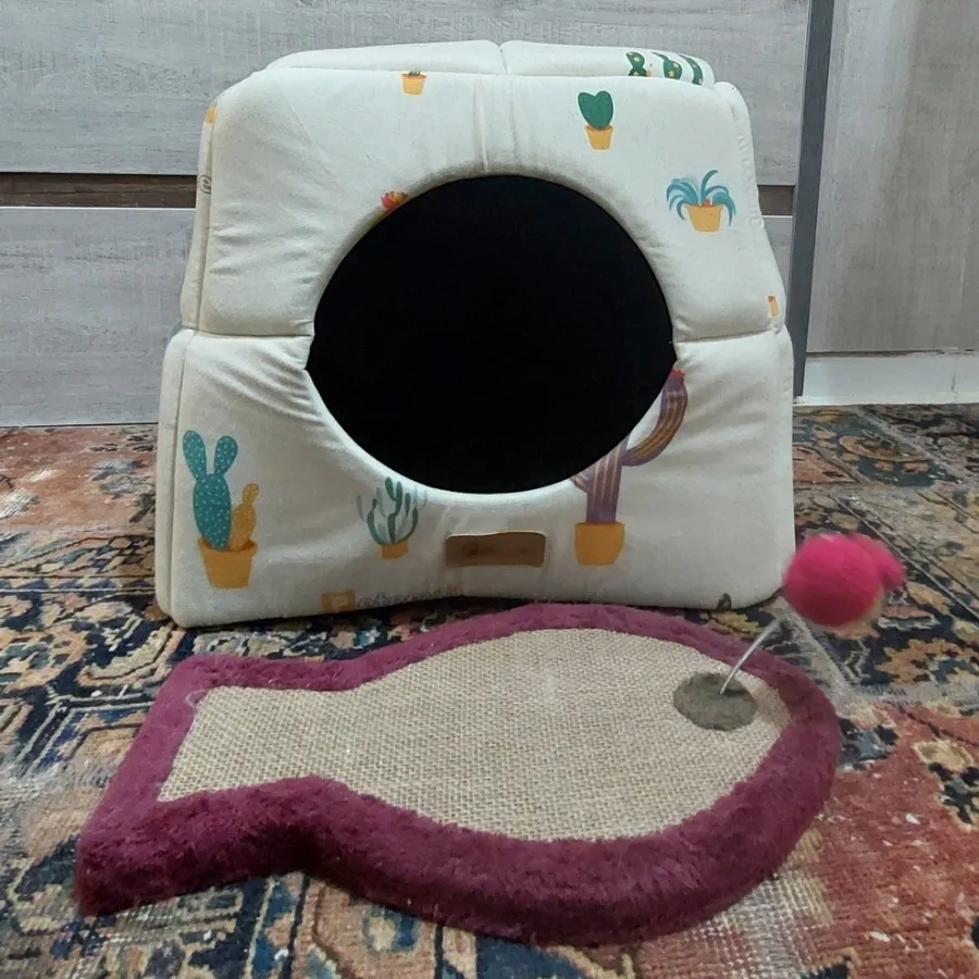 جای خواب گربه+اسکرچر