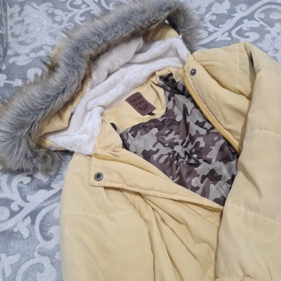 پالتو کره ای