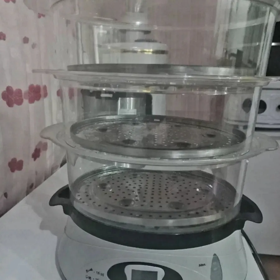 بخارپز دیجی استیل نو نو