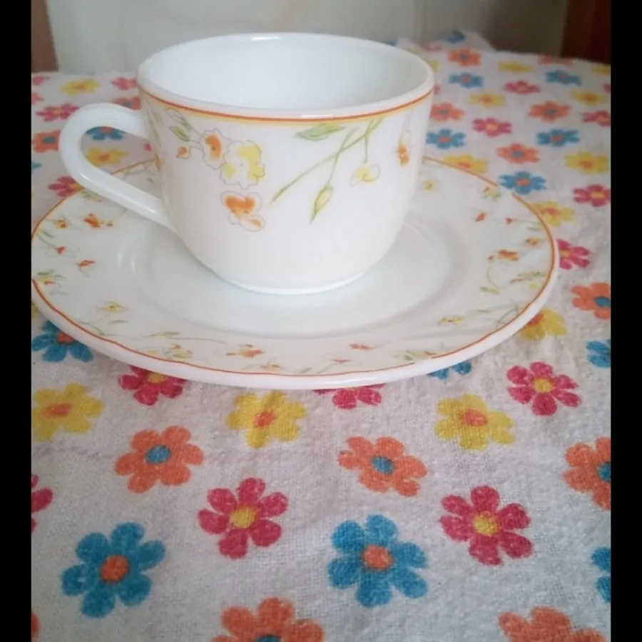 آرکوپال فرانسه