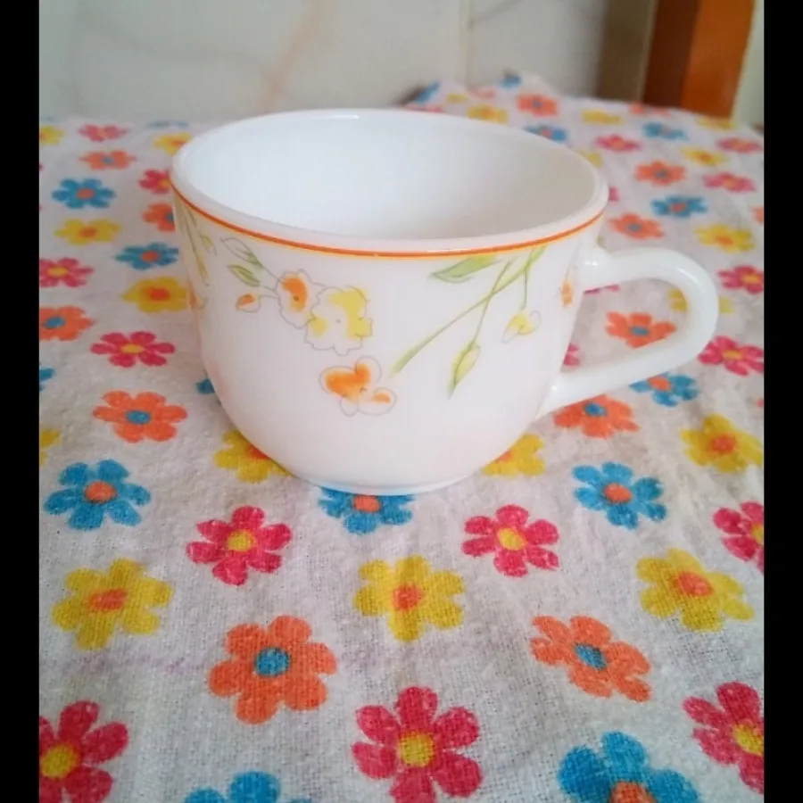 آرکوپال فرانسه