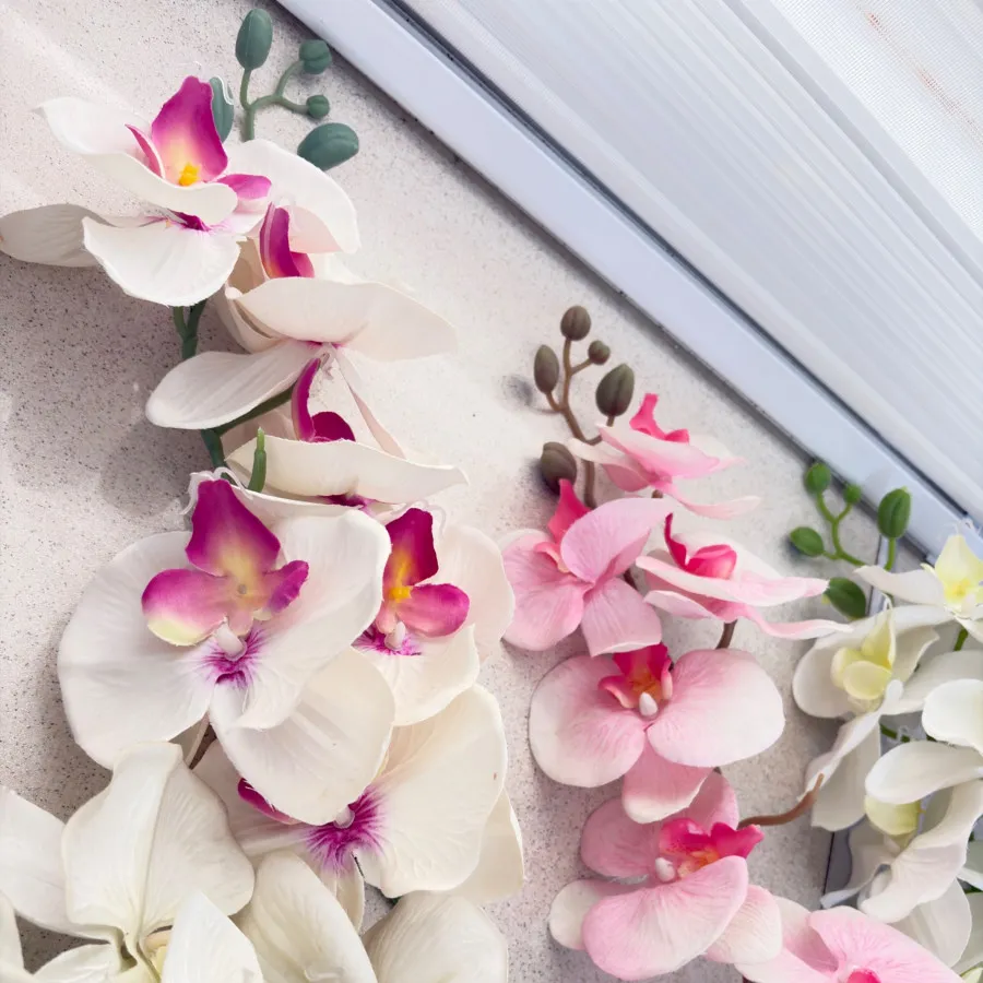 4شاخه گل ارکیده