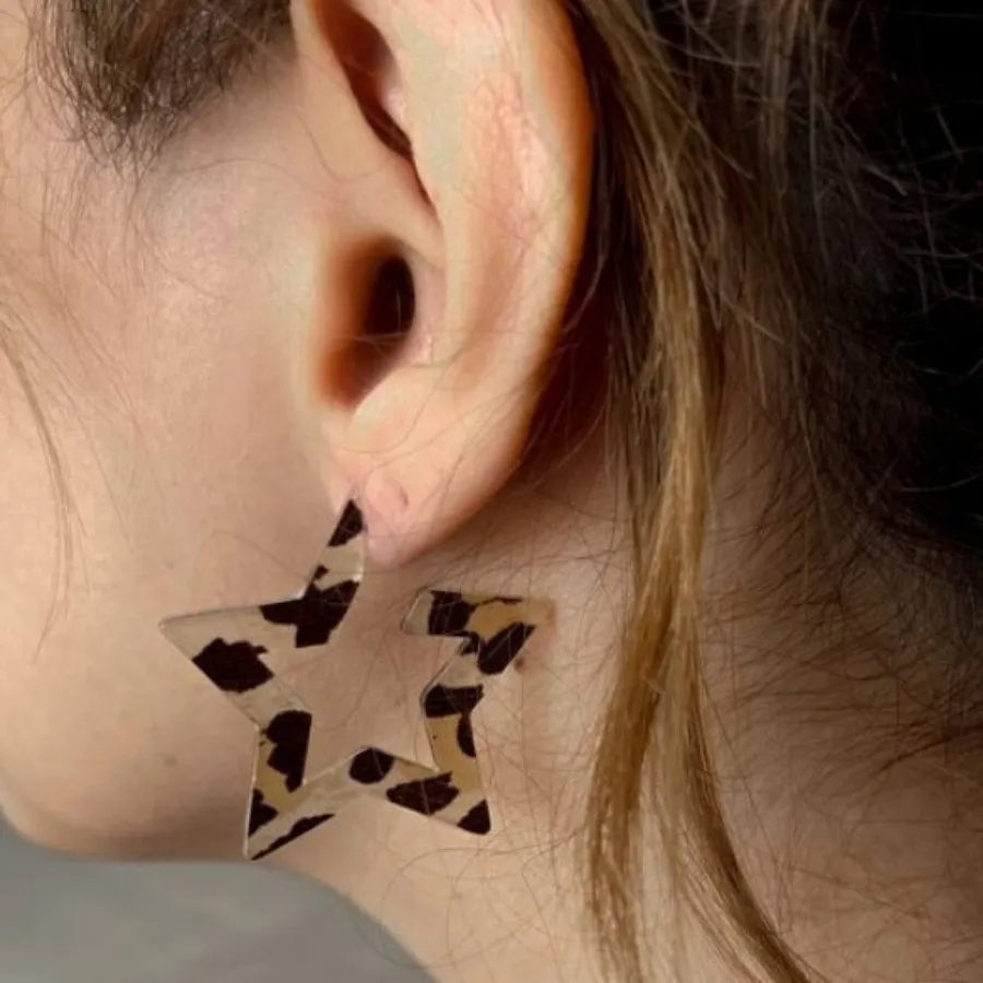 گوشواره  ستاره رزینی