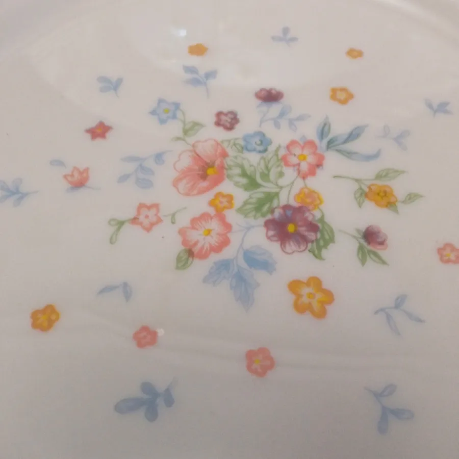 پلوخوری آرکوپال ویکتوریا