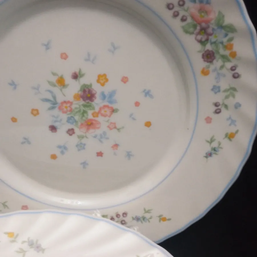 پلوخوری آرکوپال ویکتوریا