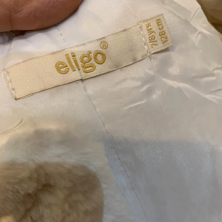 کت تدی برند اورجینال