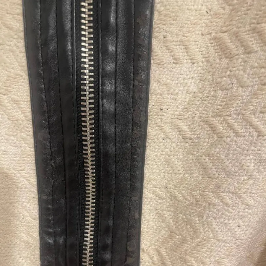 پالتو استرادیوریوس