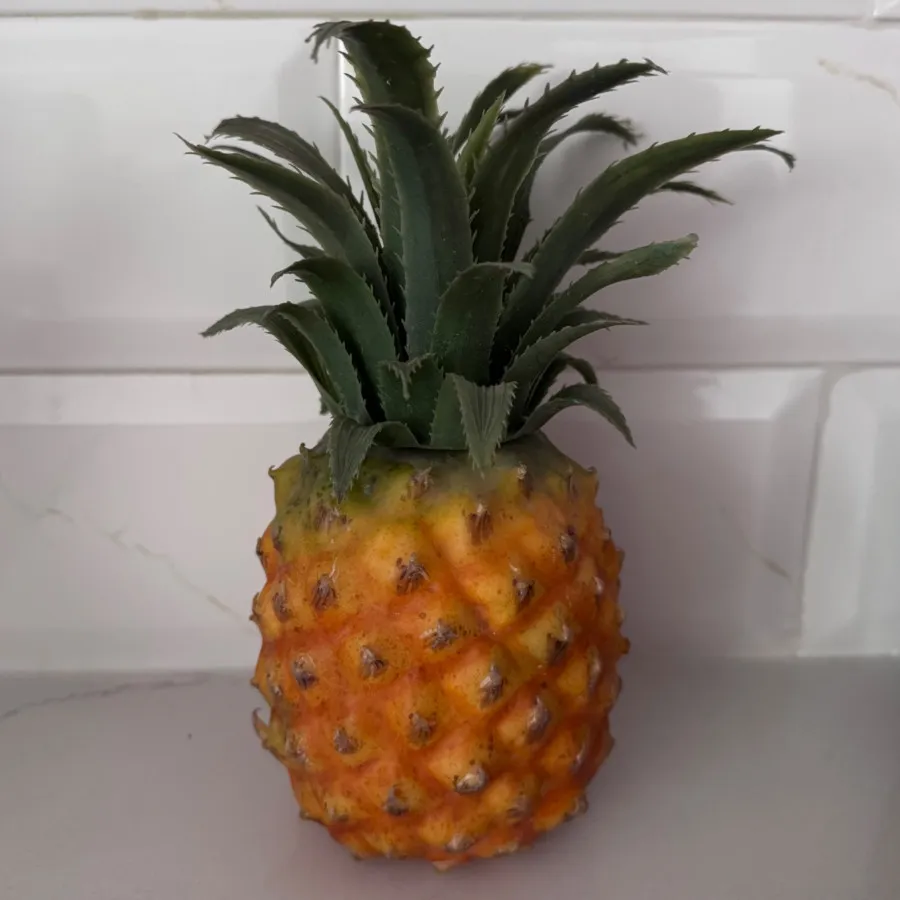 میوه پلاستیکی خارجی