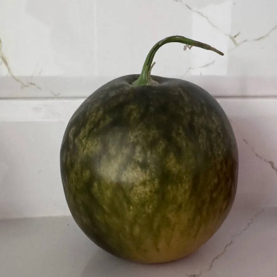 میوه پلاستیکی خارجی