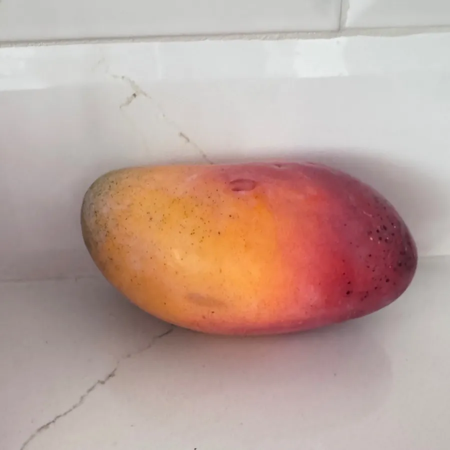 میوه پلاستیکی خارجی