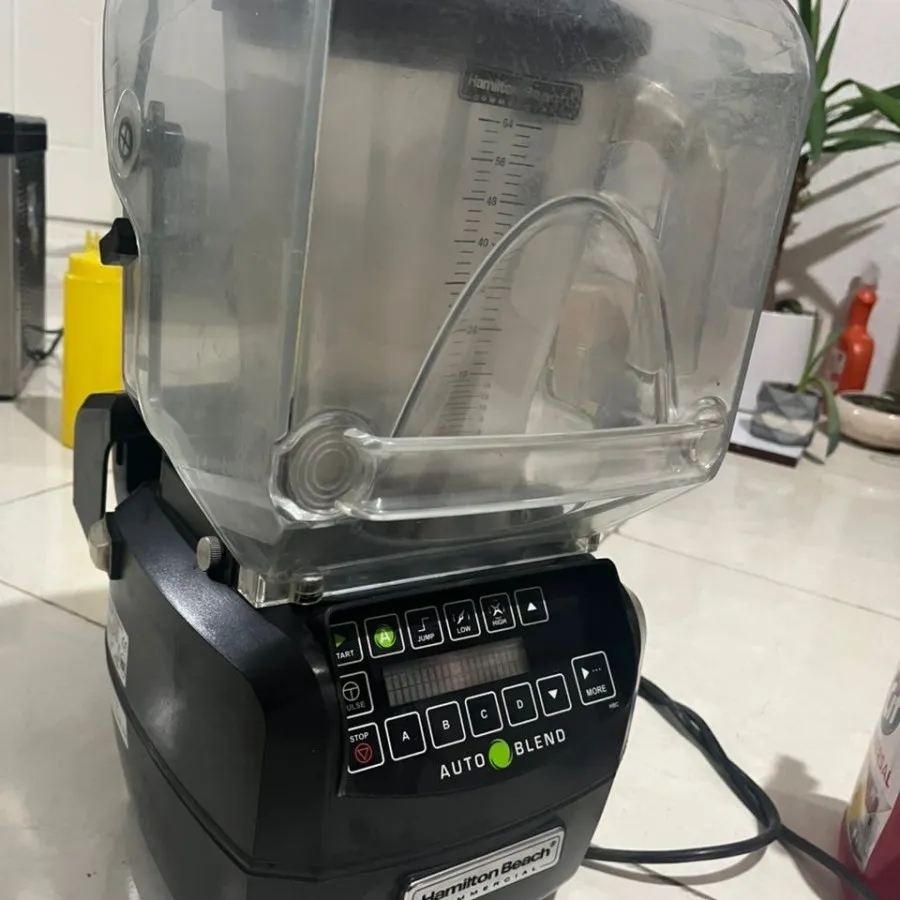 بلندر همیلتون بیچ