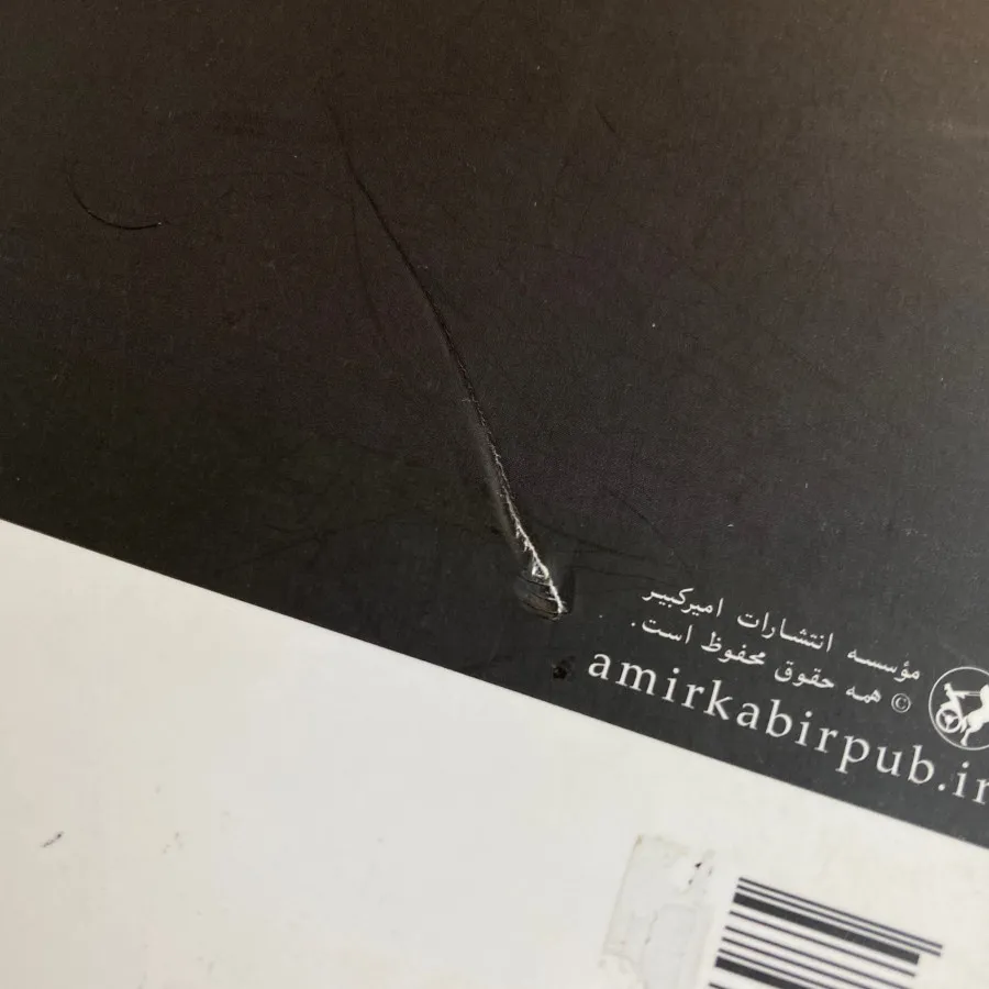 مادام بواری