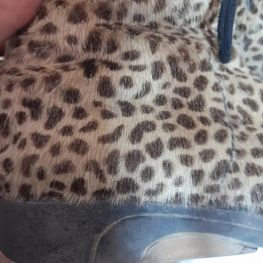 کفش بوت پلنگی آمریکایی