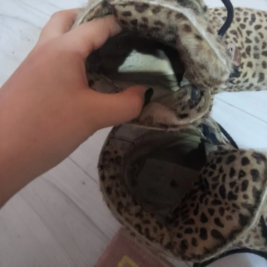 کفش بوت پلنگی آمریکایی