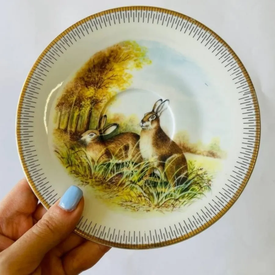 سه تابشقاب پرنده و حیوان