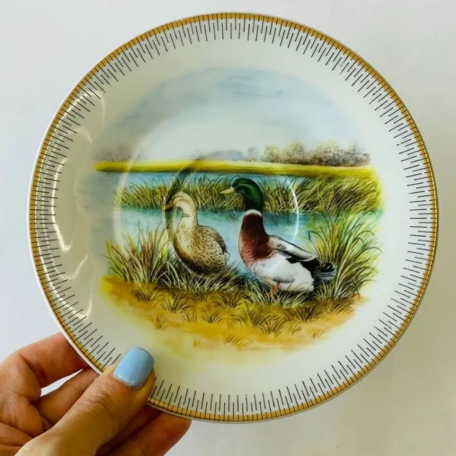 سه تابشقاب پرنده و حیوان