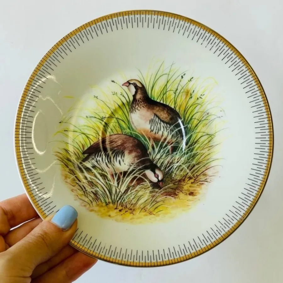 سه تابشقاب پرنده و حیوان