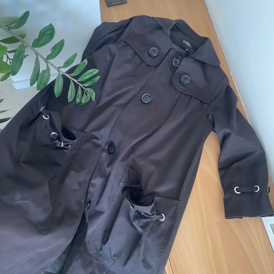 بارونی آستردار