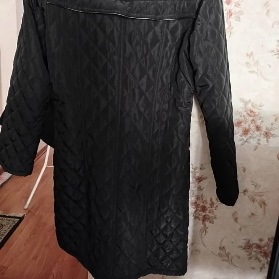 پالتو جنس تیوپی