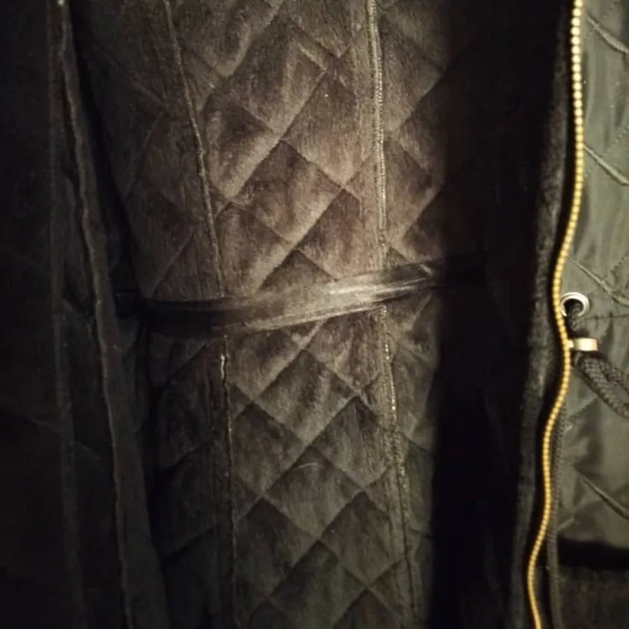 پالتو جنس تیوپی