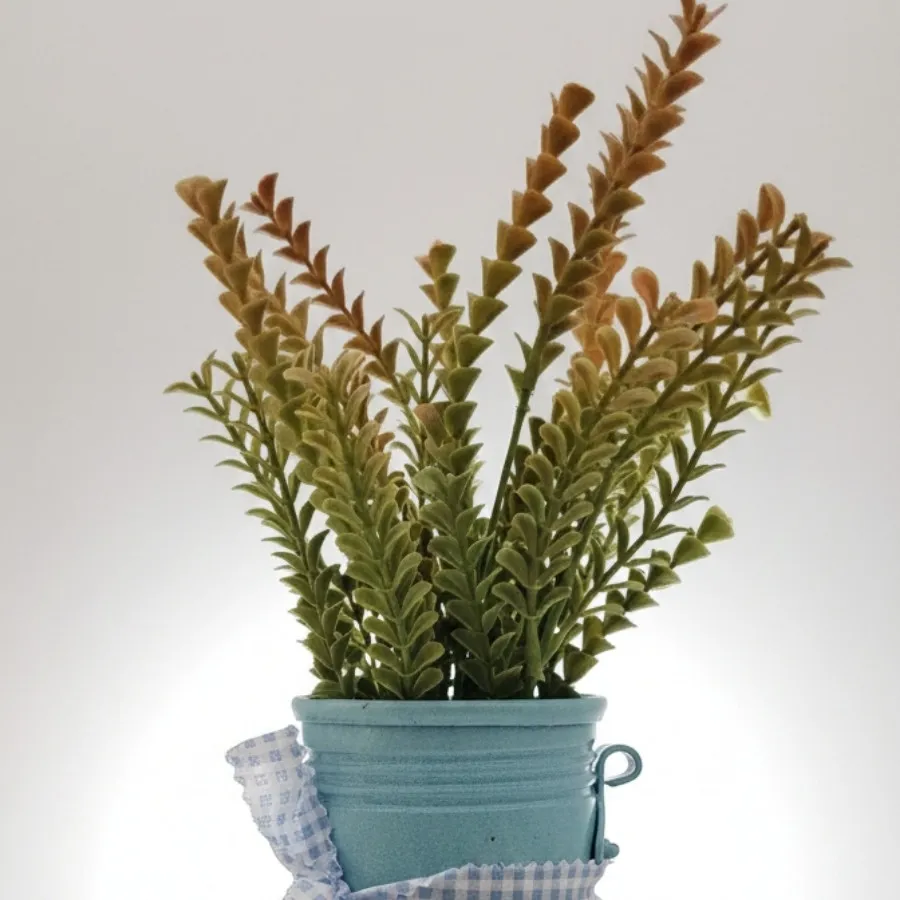 بانکه  رویی یک کیلویی