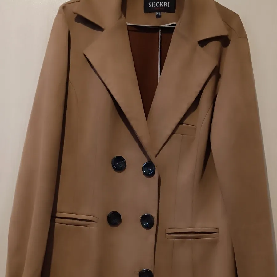 ,دوتا پالتو