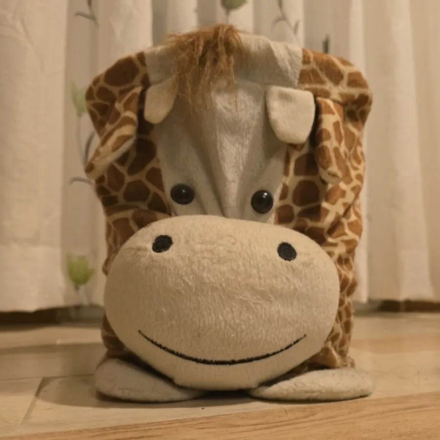 دکوریجات منزل